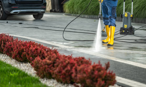 Animal Enclosure Cleaning in Canal Winchester, OH